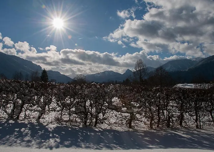 게스트하우스 Gaestehaus Florian *